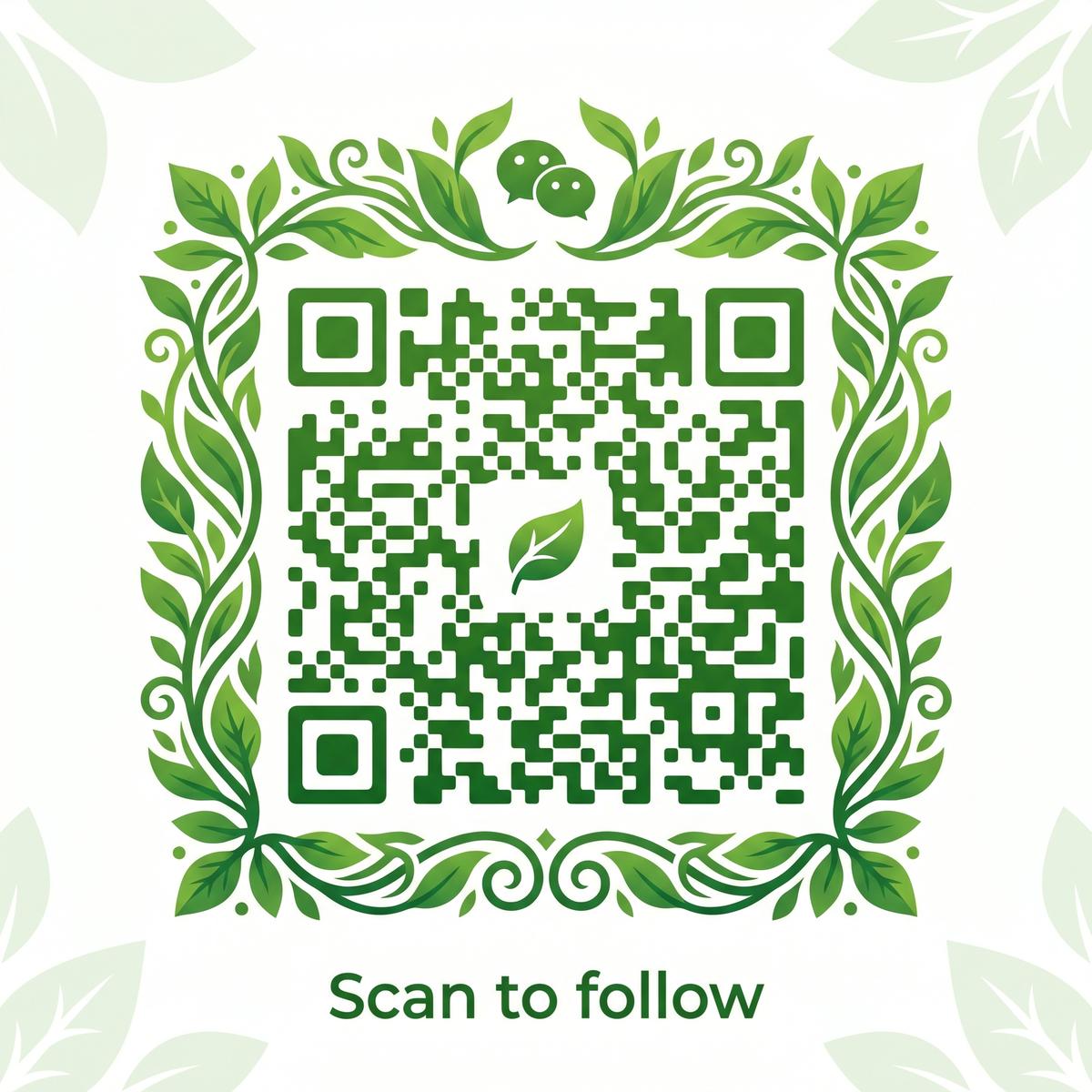 91公众号二维码